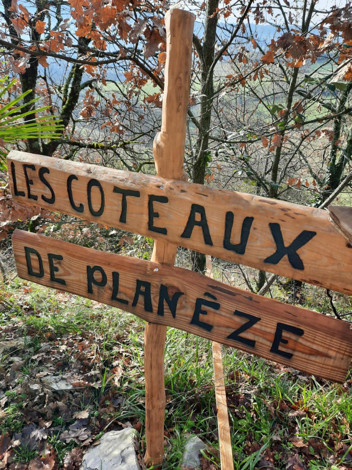Les Coteaux De Planeze, Maison Et Jardin Dans Le Lot! Chambres Chez L'Habitant! Belmont-Bretenoux Kültér fotó